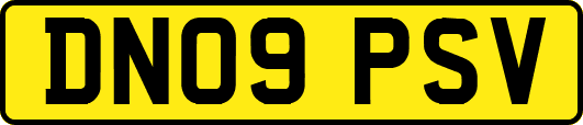 DN09PSV