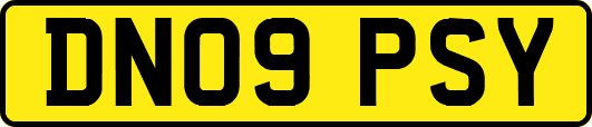 DN09PSY