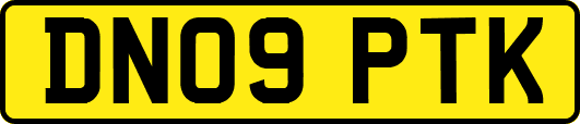 DN09PTK