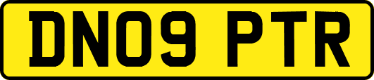 DN09PTR