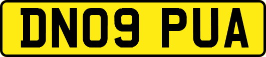 DN09PUA