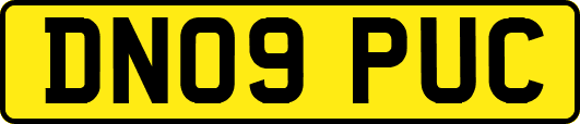 DN09PUC