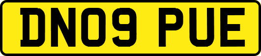 DN09PUE