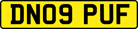 DN09PUF