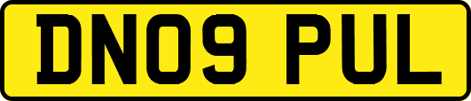 DN09PUL