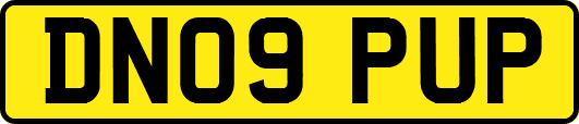 DN09PUP