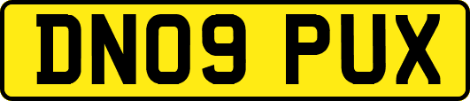 DN09PUX
