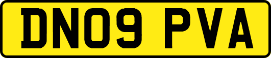DN09PVA