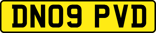 DN09PVD