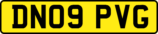 DN09PVG