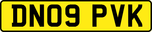 DN09PVK