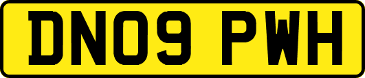 DN09PWH