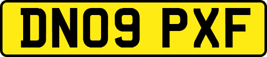 DN09PXF