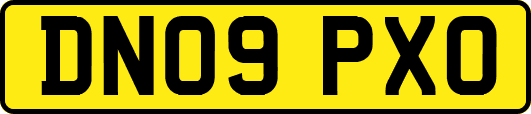 DN09PXO