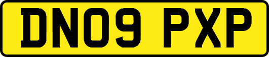 DN09PXP