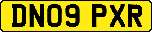 DN09PXR