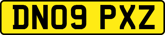 DN09PXZ
