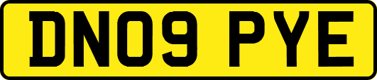DN09PYE