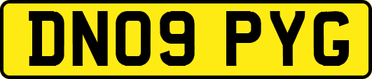 DN09PYG