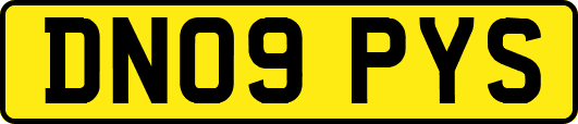 DN09PYS