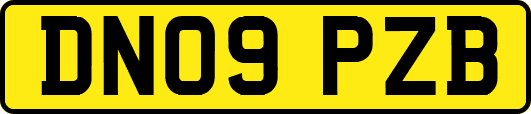 DN09PZB