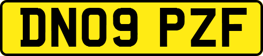 DN09PZF