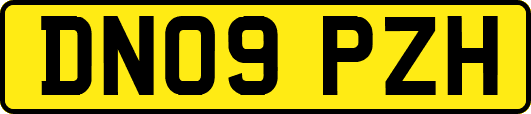 DN09PZH
