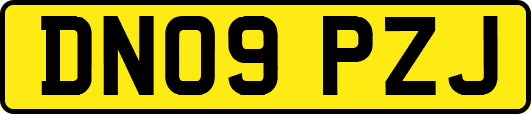 DN09PZJ