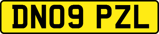 DN09PZL