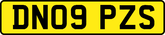 DN09PZS