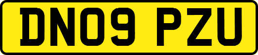 DN09PZU