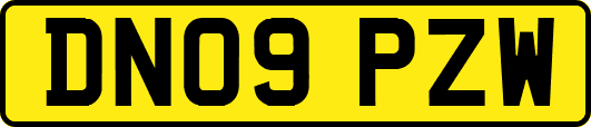 DN09PZW