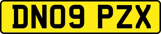 DN09PZX