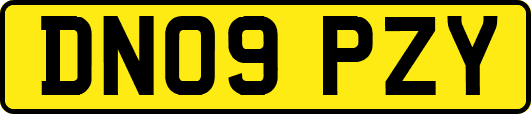 DN09PZY