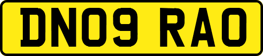 DN09RAO