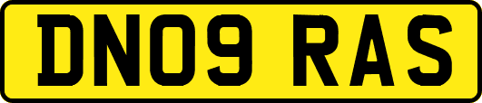 DN09RAS