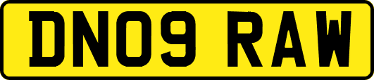 DN09RAW