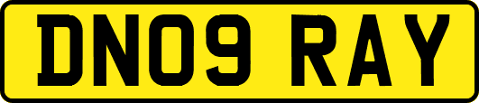 DN09RAY