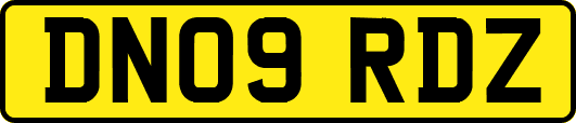 DN09RDZ