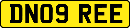 DN09REE
