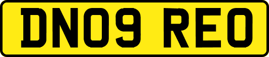 DN09REO