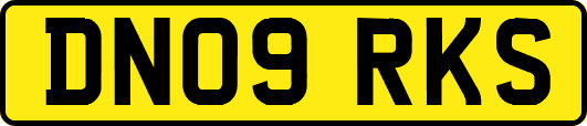 DN09RKS