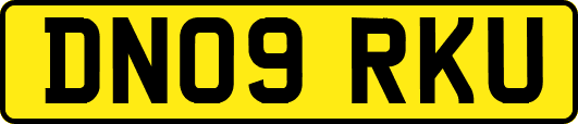 DN09RKU