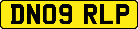 DN09RLP