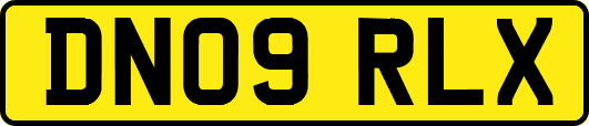DN09RLX