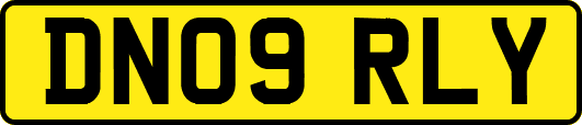 DN09RLY