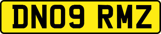 DN09RMZ