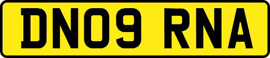 DN09RNA