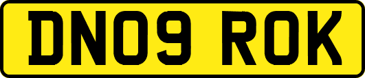 DN09ROK