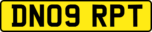 DN09RPT